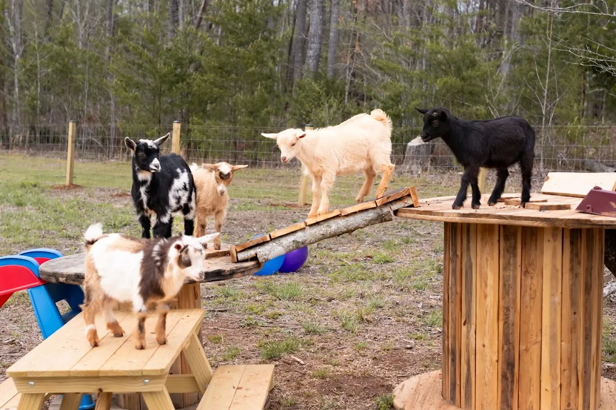 Rockin' S Farm, LLC