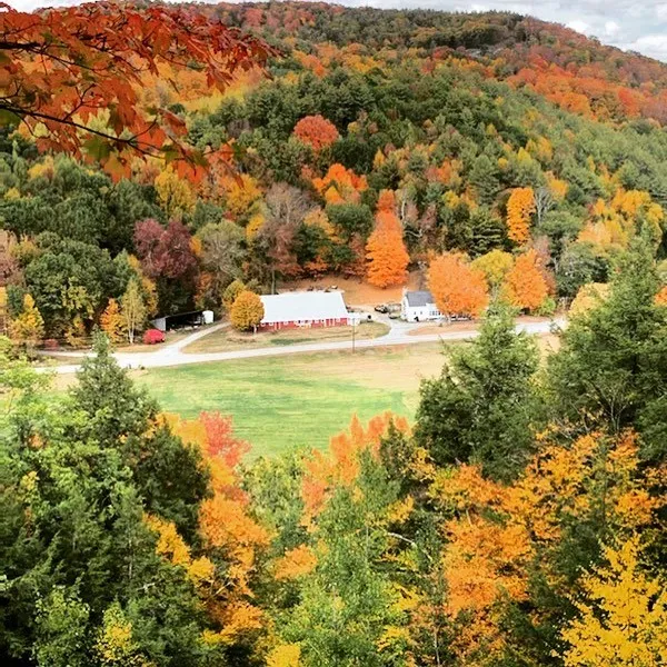 His and Hers Farm