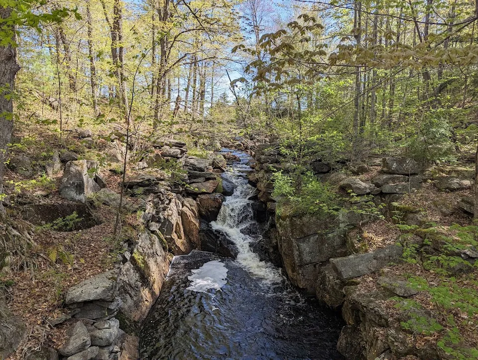 Pillsbury State Park