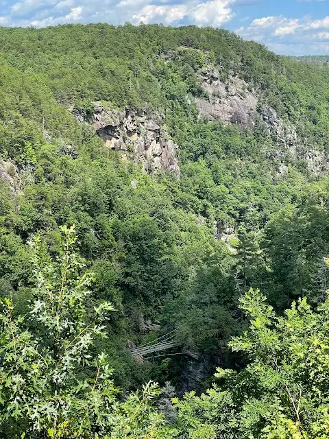 Overlook 6