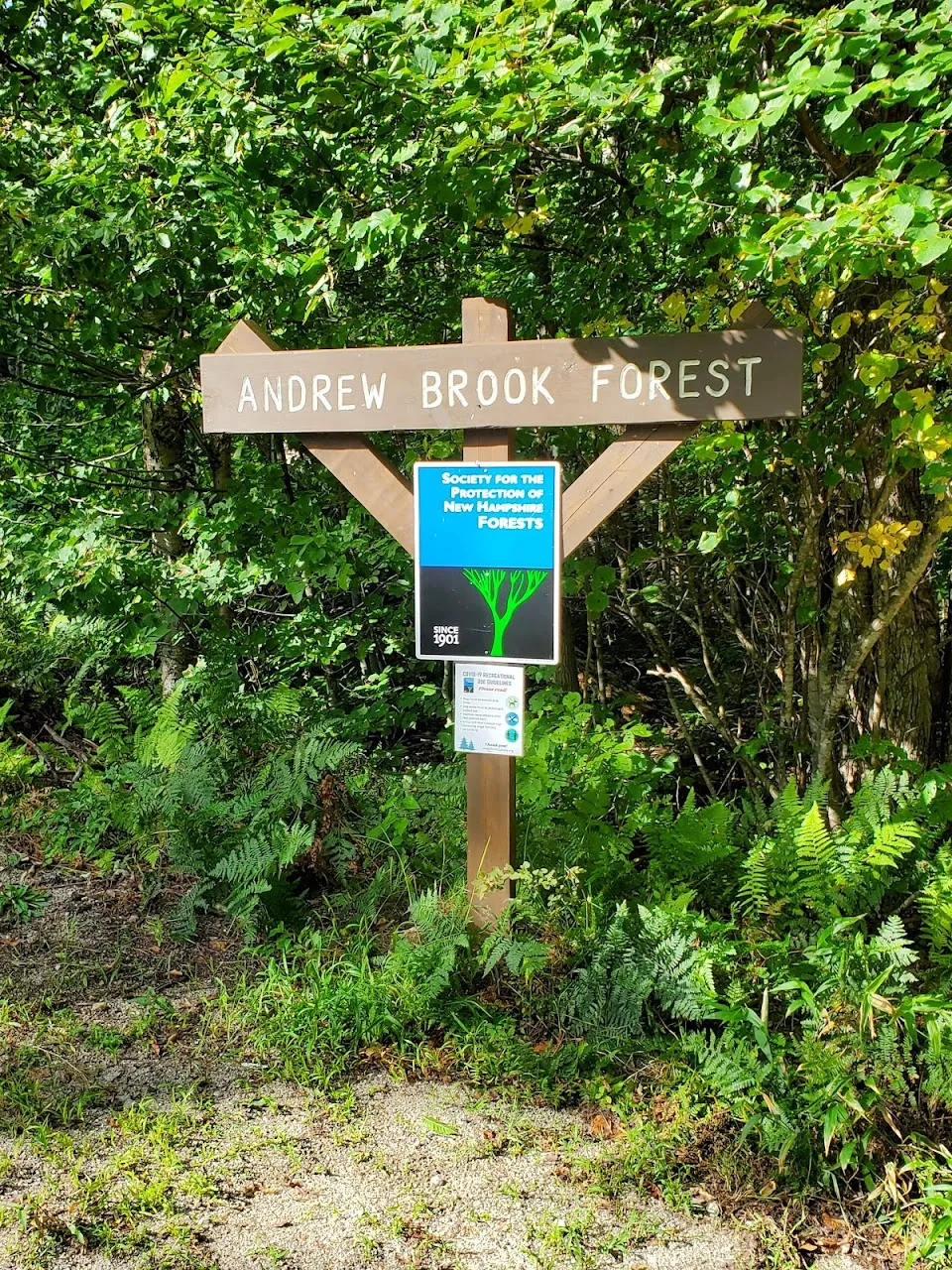 Andrew Brook Trailhead