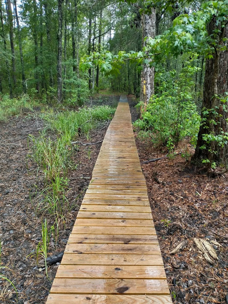 Lake Moultrie Passage Trailhead