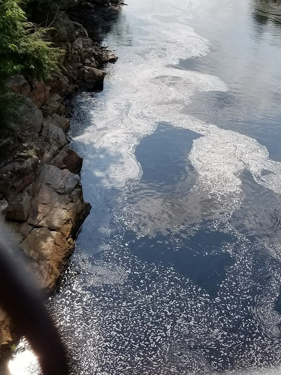 Black Creek State Forest