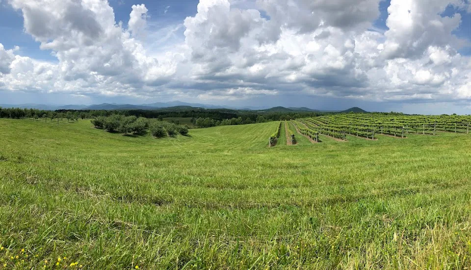 Chattooga Belle Farm