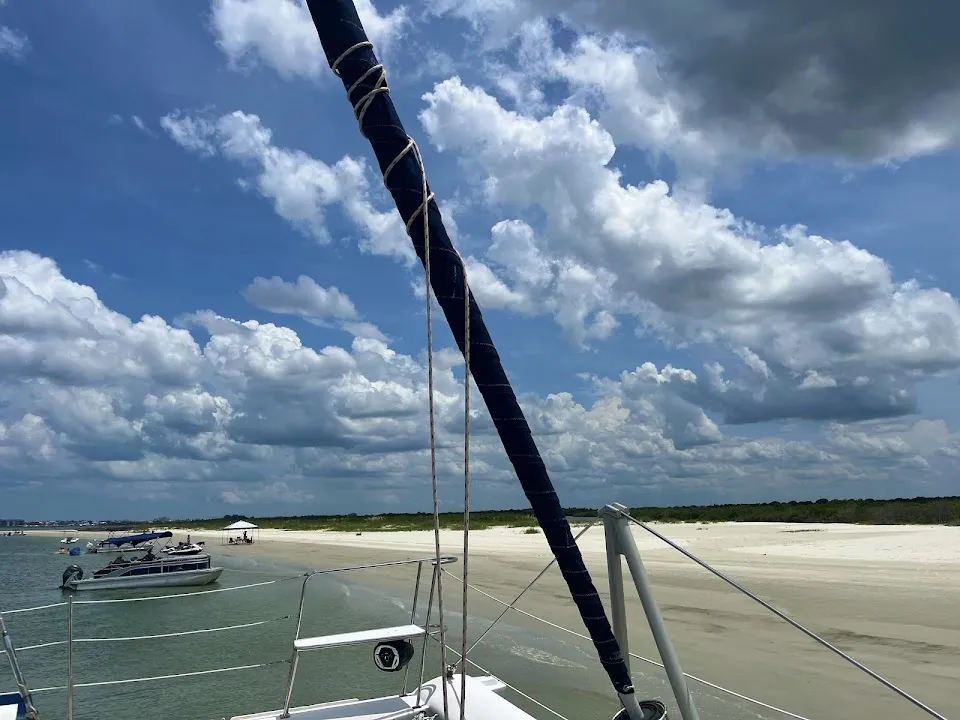 Fun Cat Sailing
