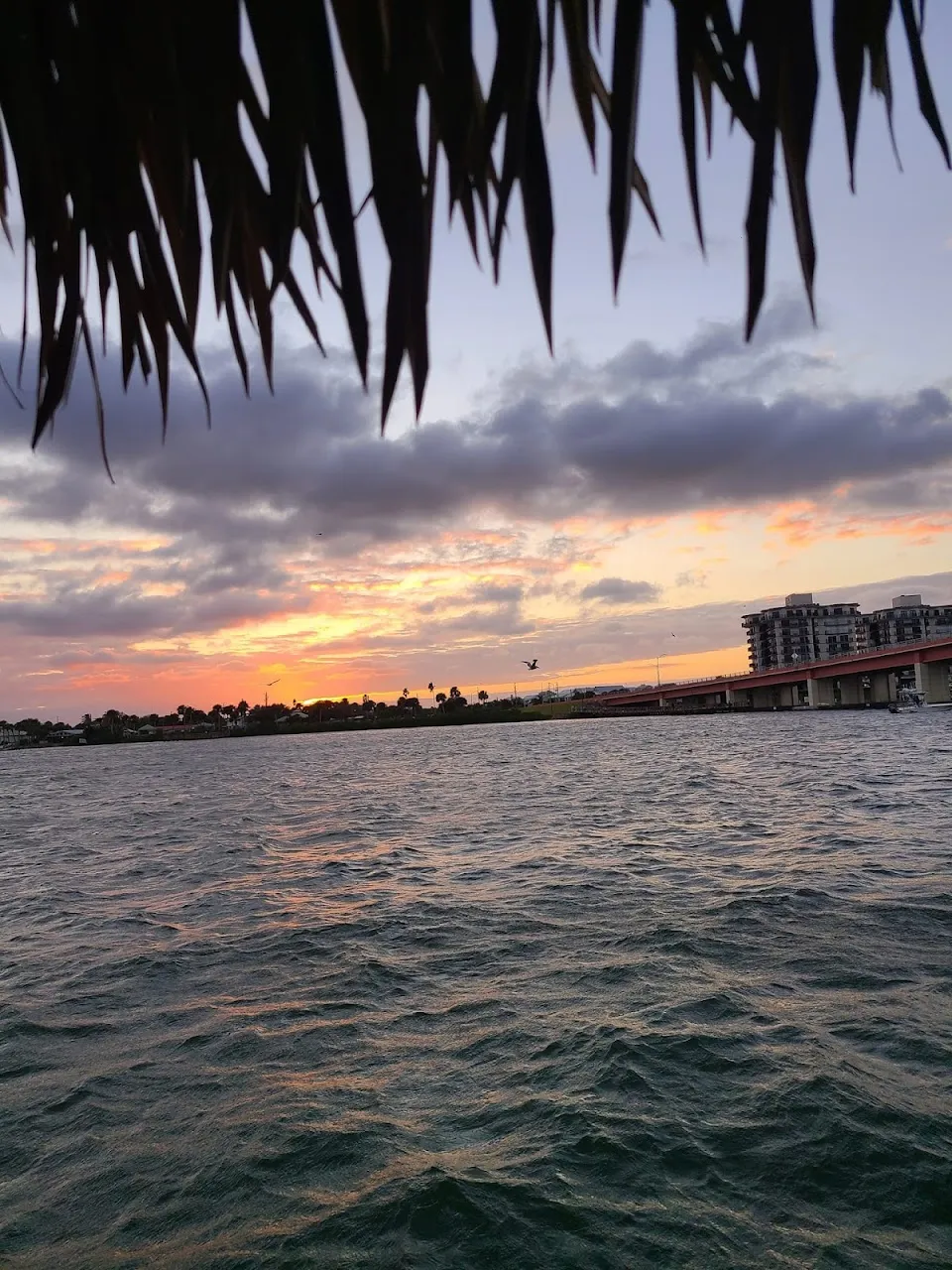Toon Tiki Charters, LLC