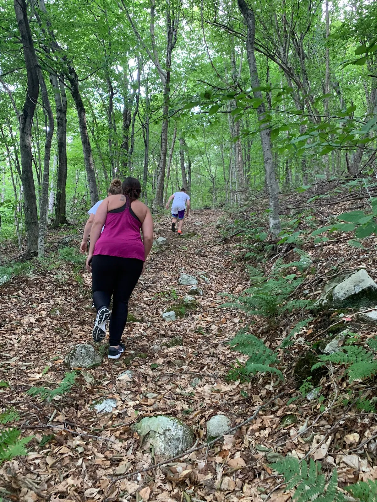 Fishers Field Trail