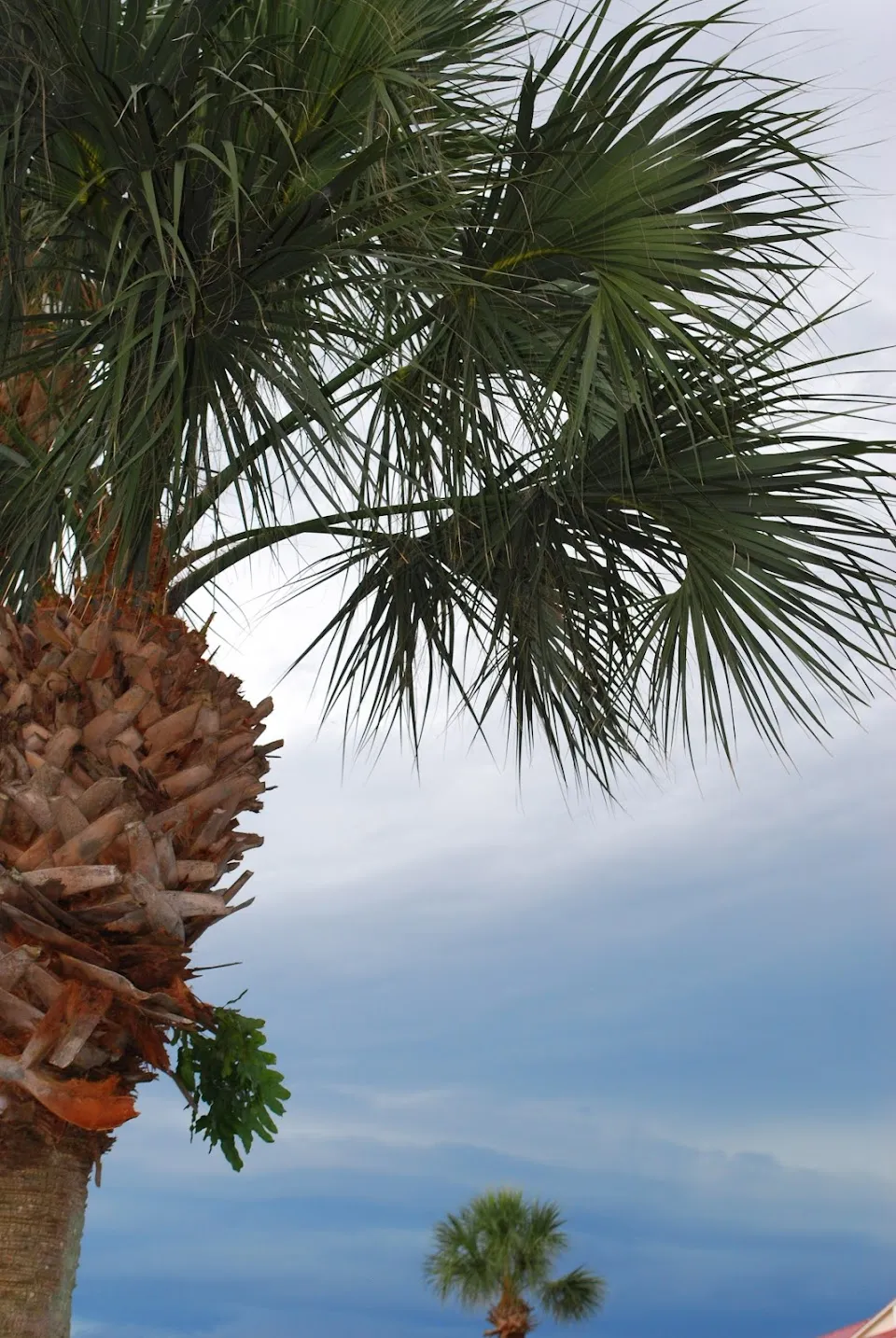 Bouchelle Island Development