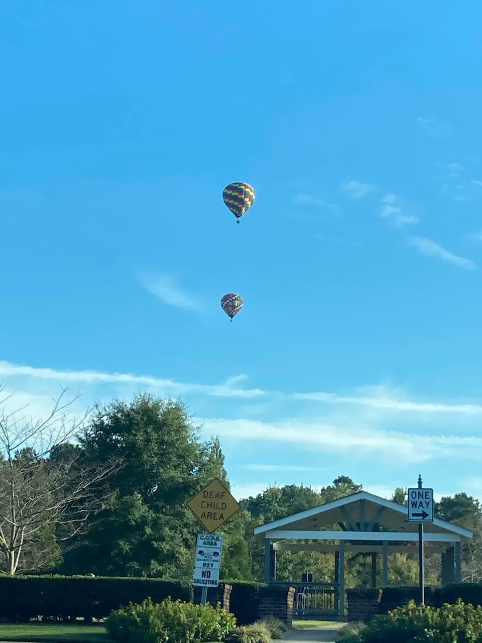 Balloons Over Georgia