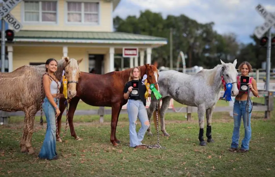 Reckless Ranch Horse Rides
