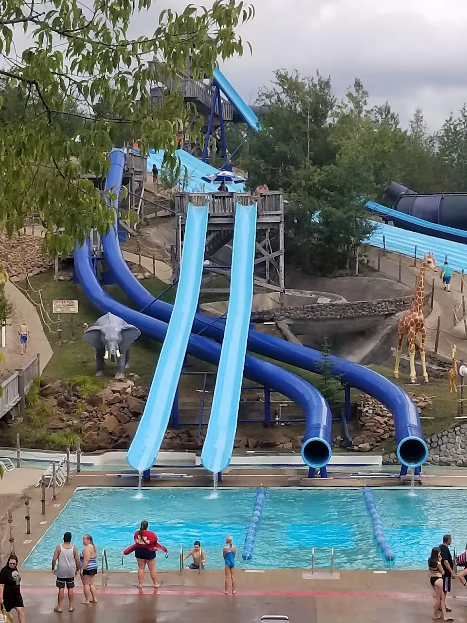 Enchanted Forest Water Safari