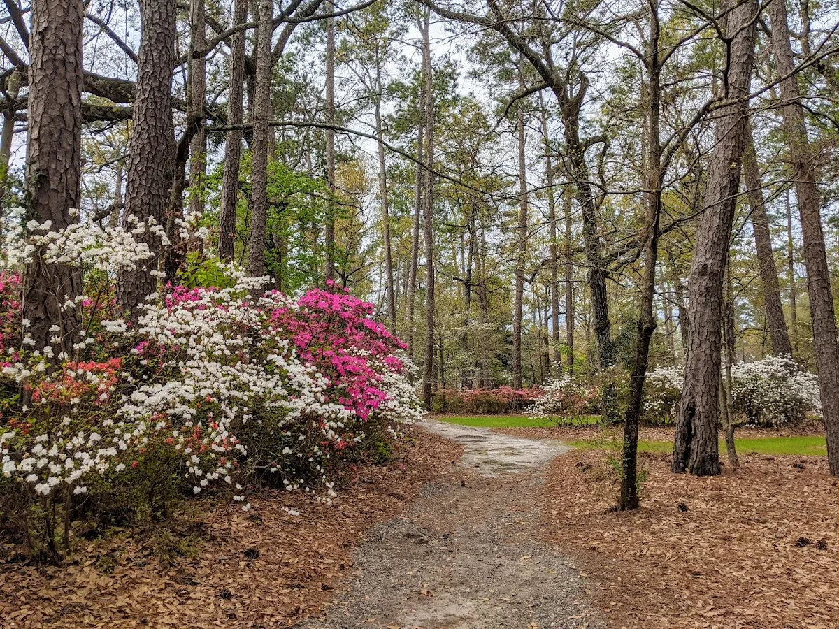 Shepard Park