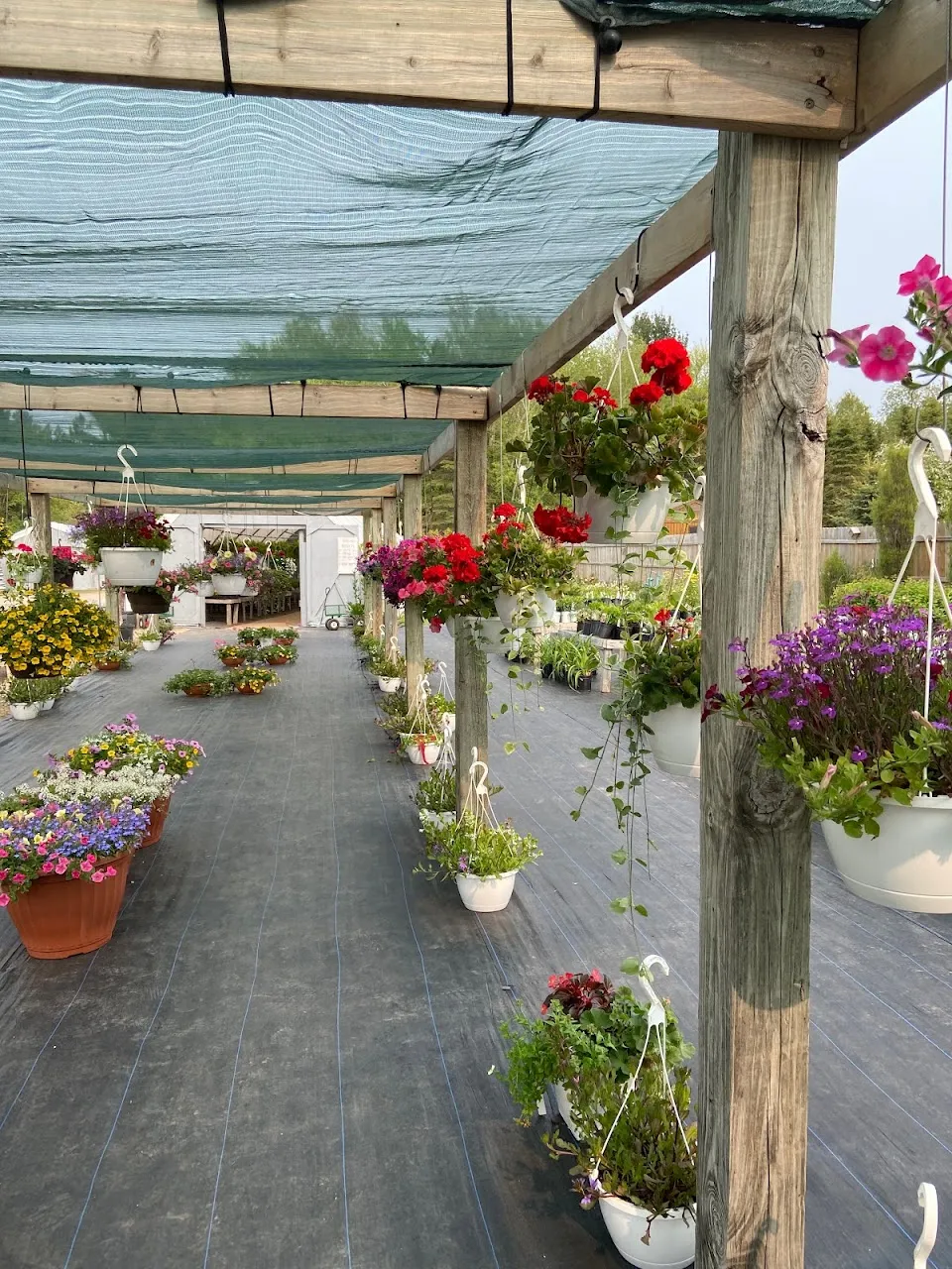Sassafrass Garden & Gifts