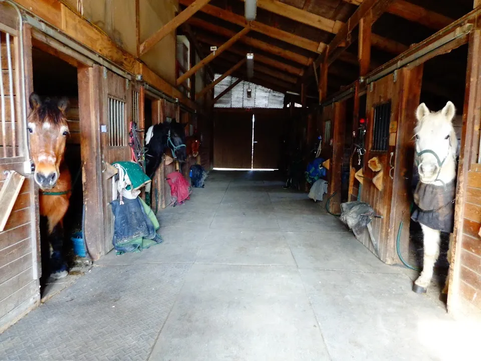 Saddle Brook Farm Animal Rescue