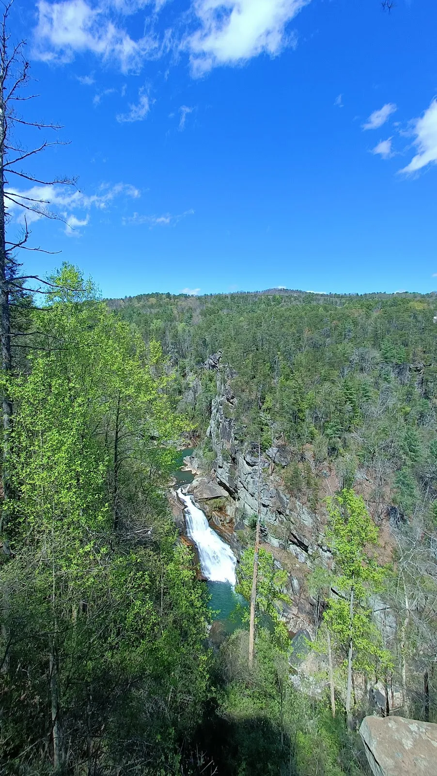 Overlook 6