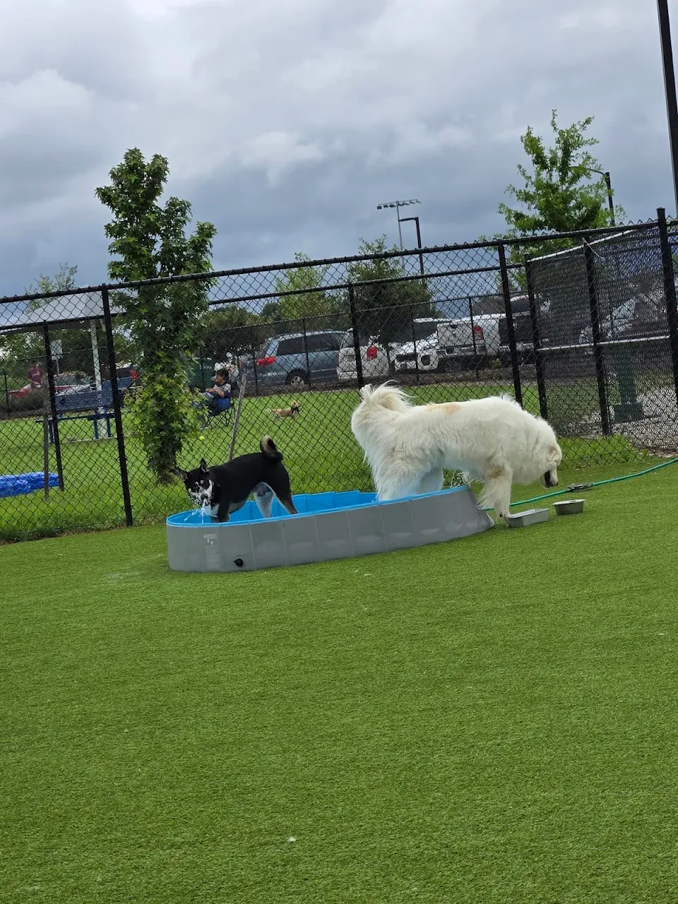 Dog Parks at Christiansburg Huckleberry Park