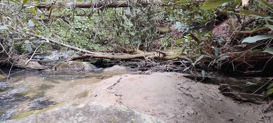 Limestone Falls