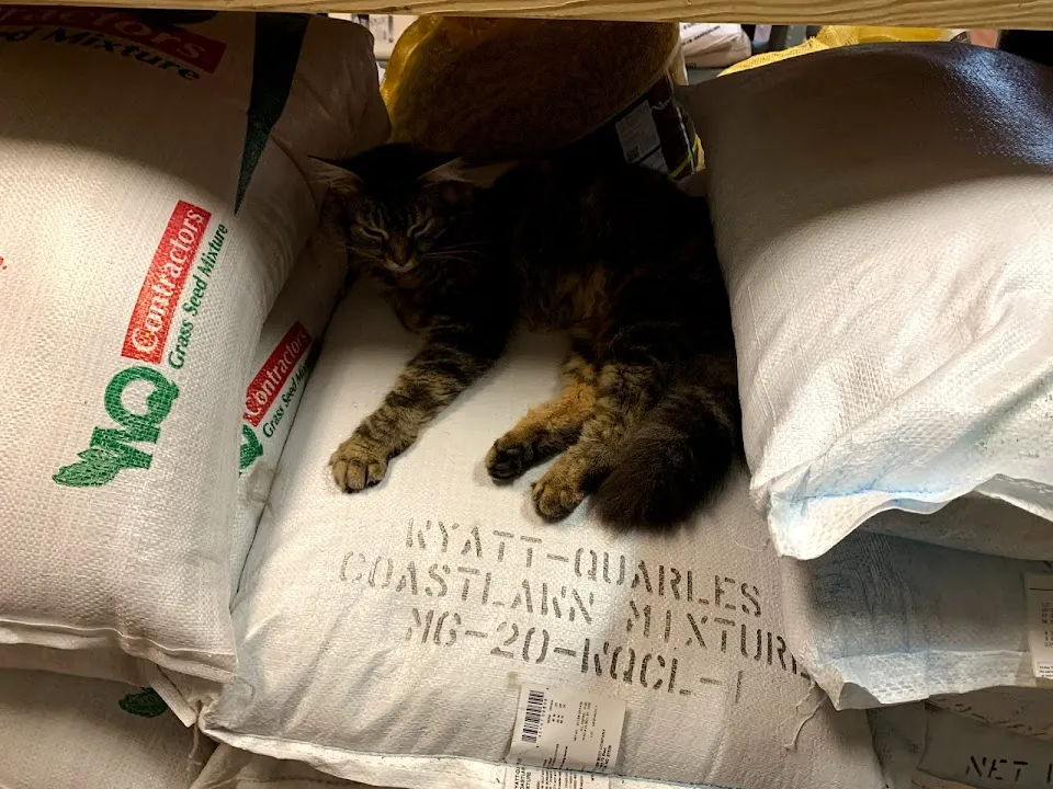 Currituck Feed And Seed
