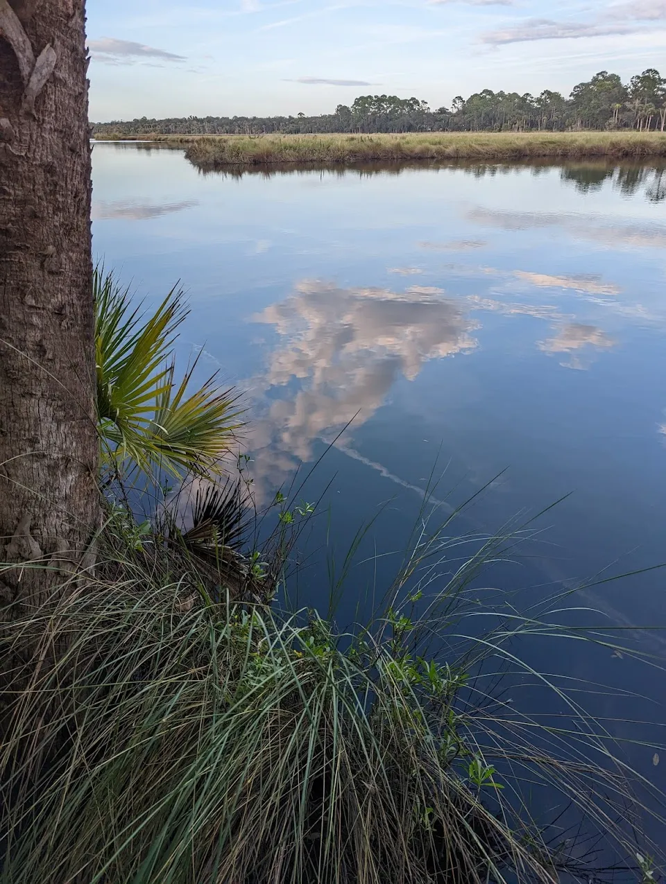 Bulow Creek State Park