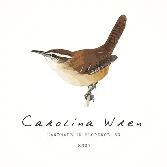 Carolina Wren