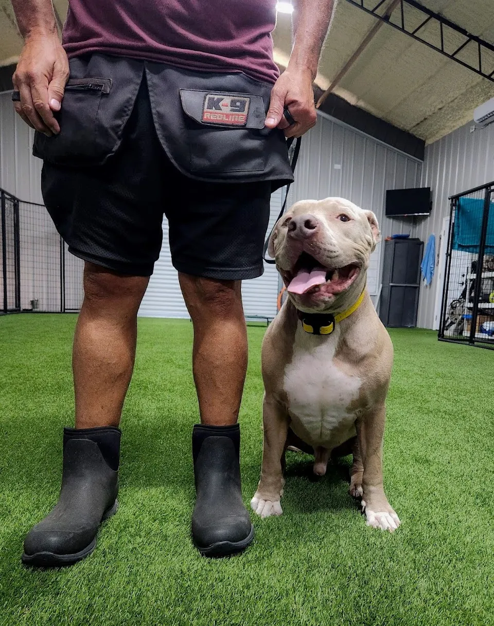 Nala's Ranch: Dog Boarding & Training