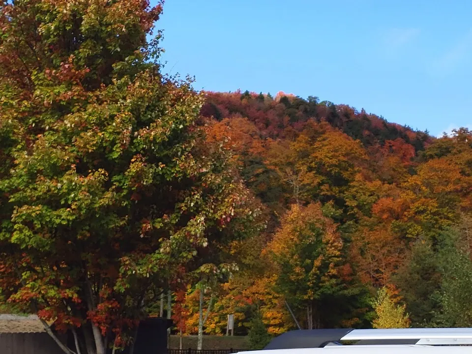Daikers Brookside Lodging