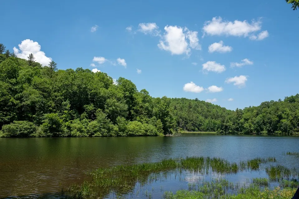 Chattahoochee National Forest