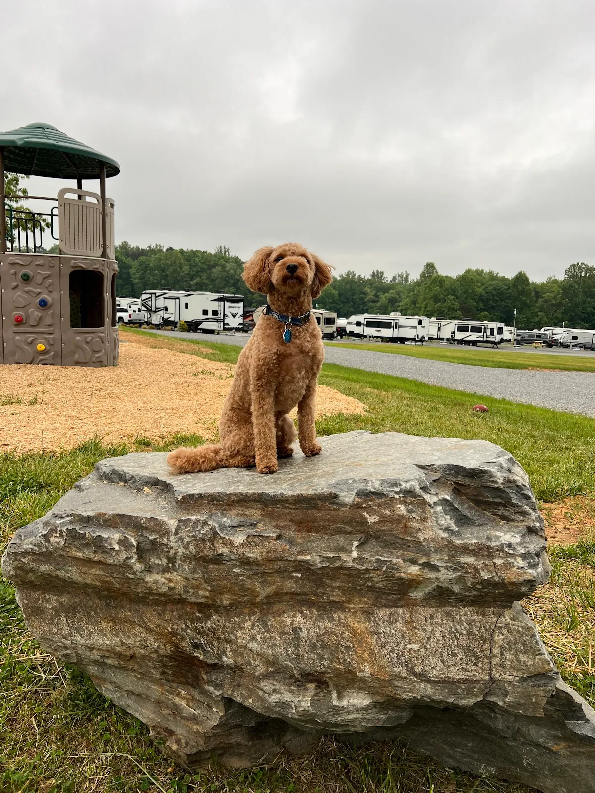 Black Dog Acres RV Park