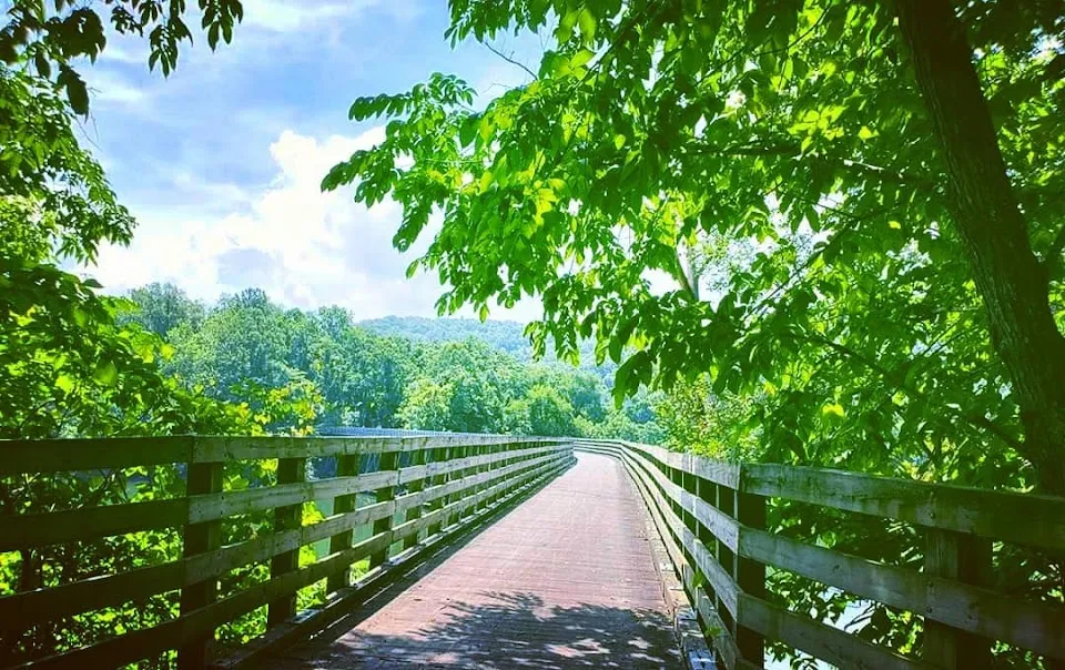 Virginia Creeper Trail Bike Shop - Bike Rentals & Shuttle Service