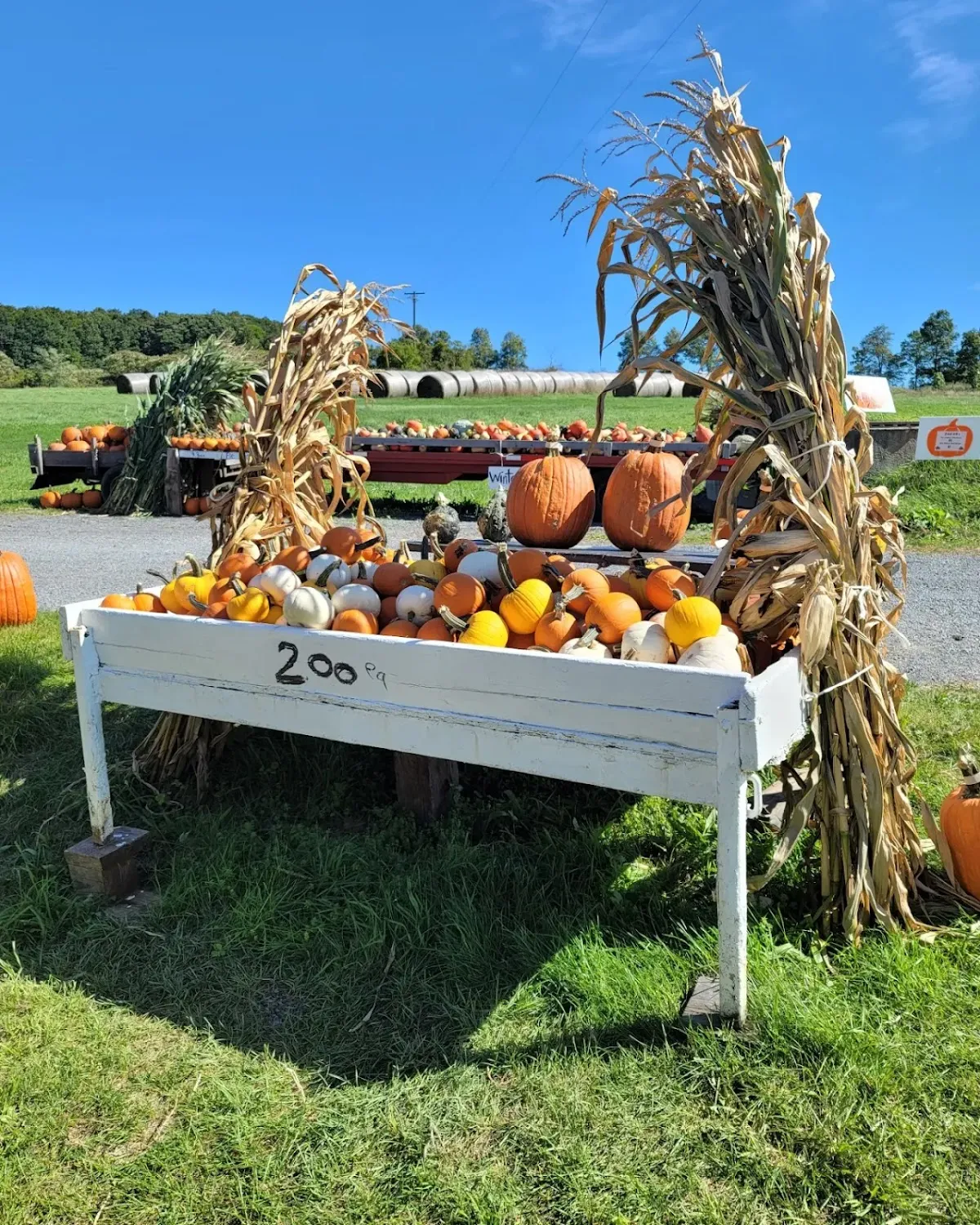Fox Valley Vail Farms