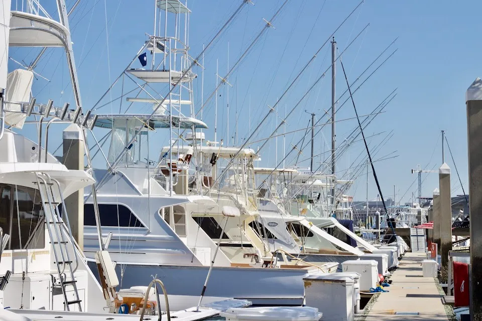 Davis Marine Management