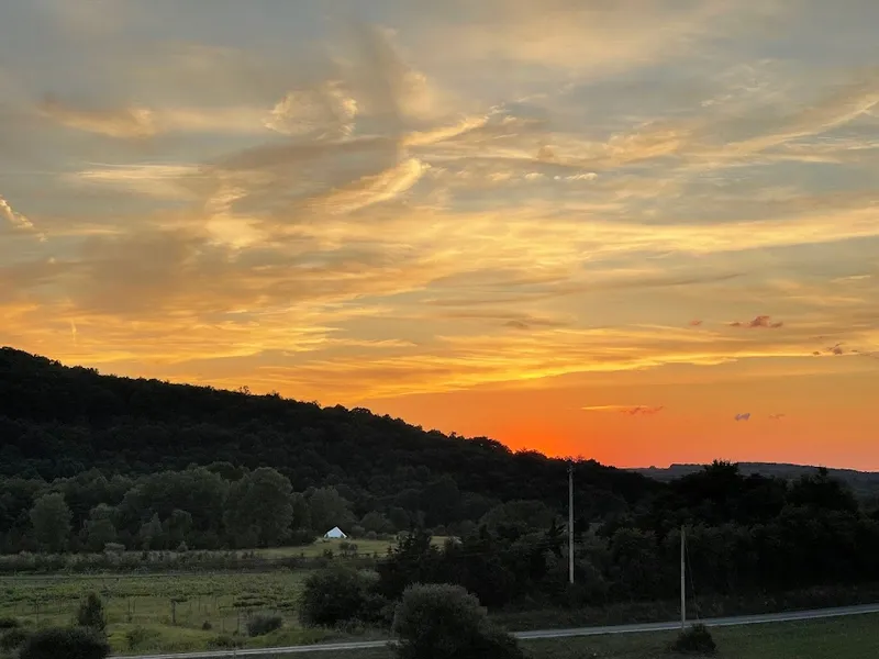 Knapp’s View