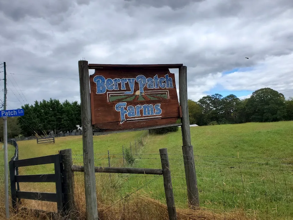Berry Patch Farms
