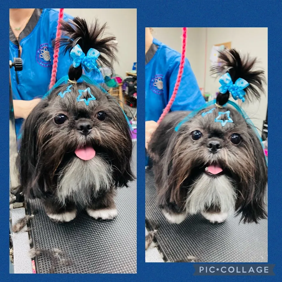 Pauline's Pet Styling