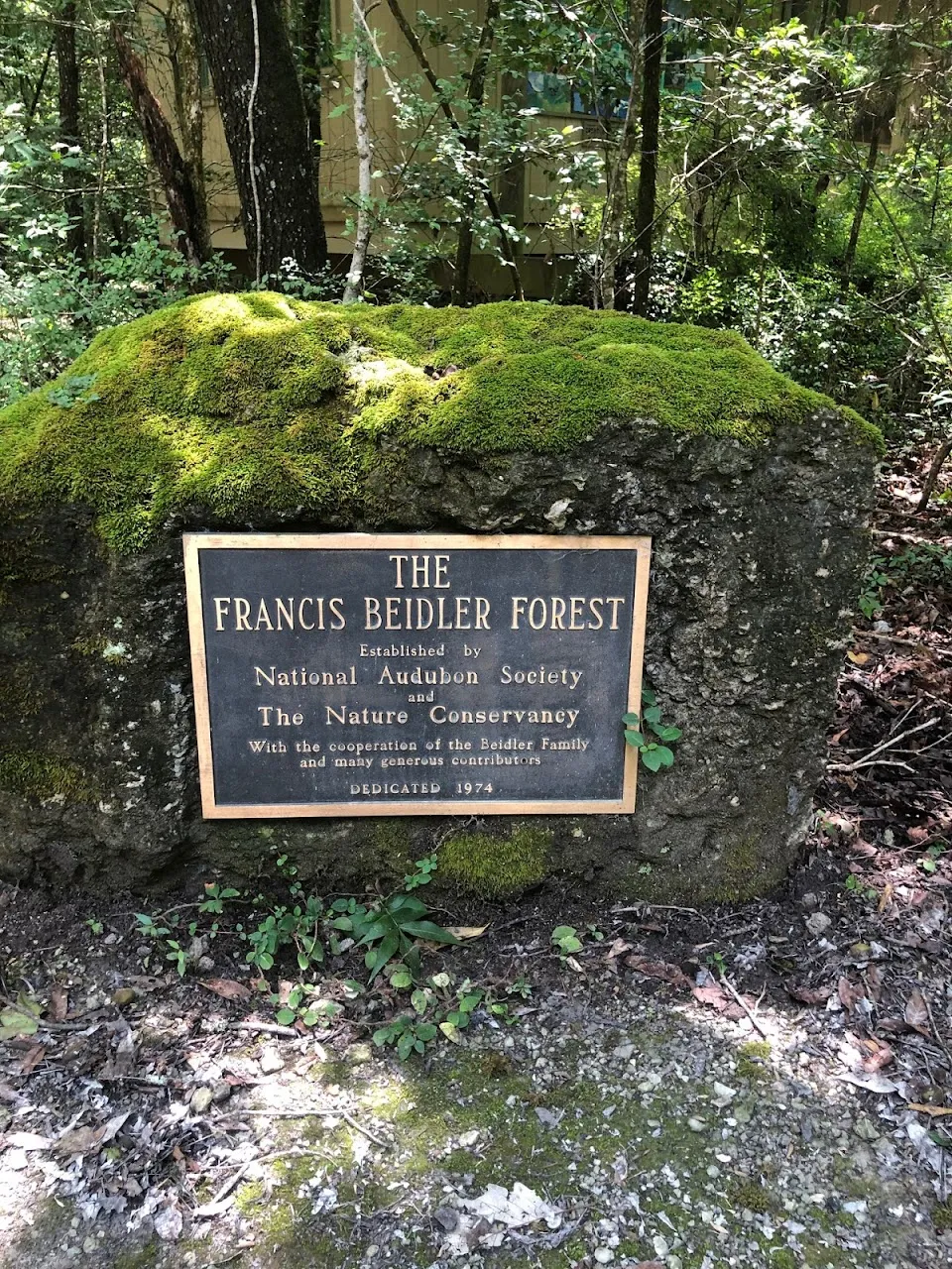Audubon's Beidler Forest Sanctuary