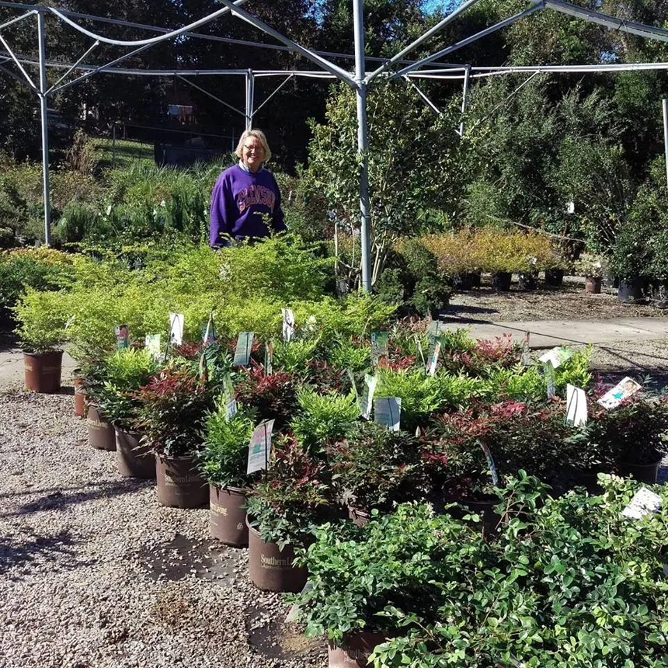 Plant Depot and Gifts