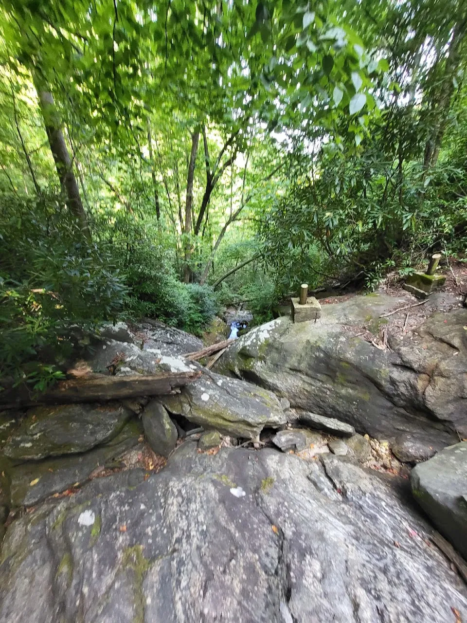 Holcomb Creek Falls Trail Head
