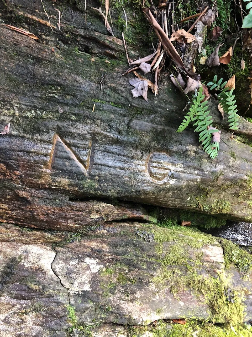 Ellicott Rock