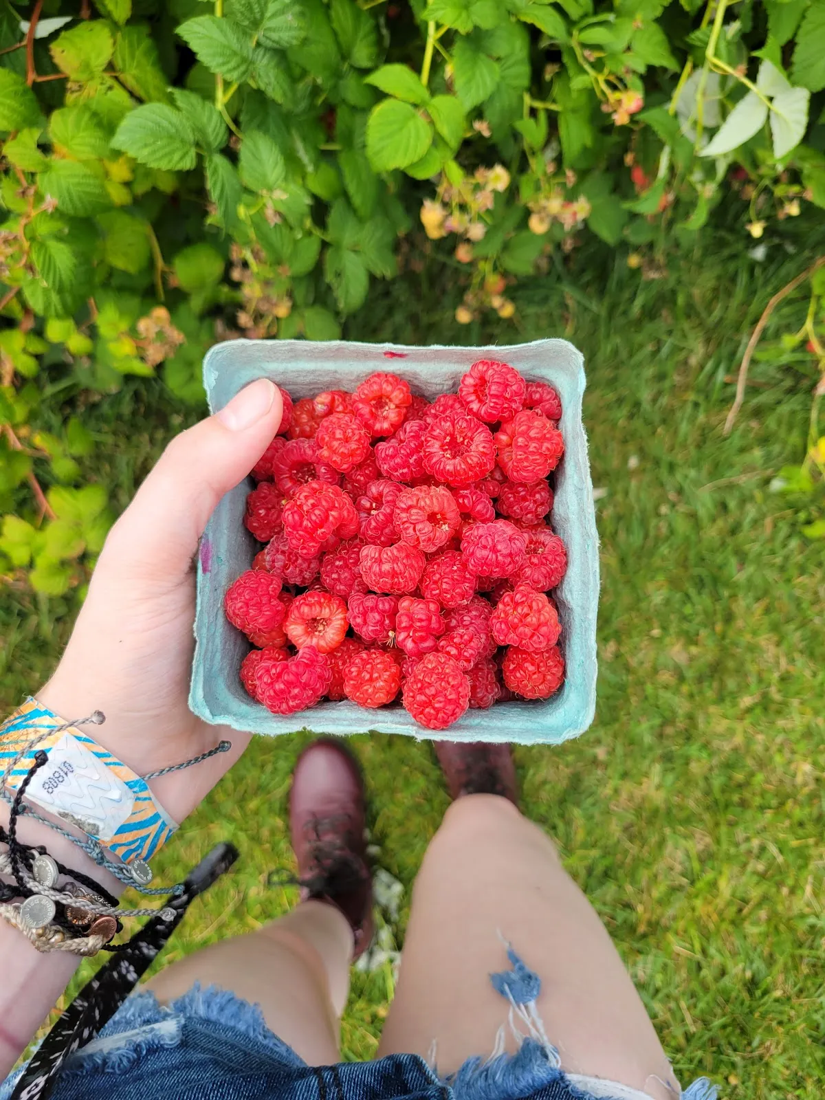 Beaver Pond Farm