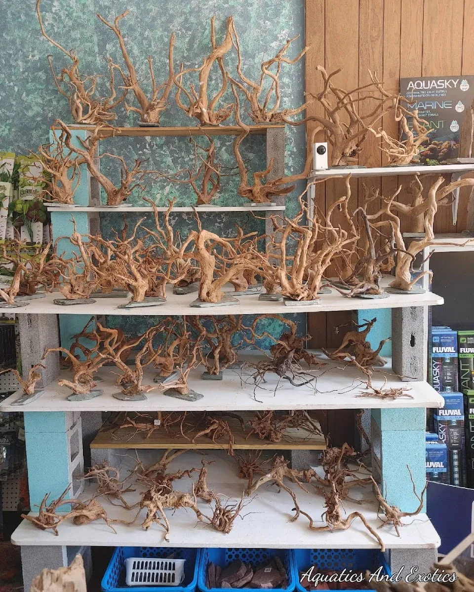 Aquatics and Exotics Pet Shop llc