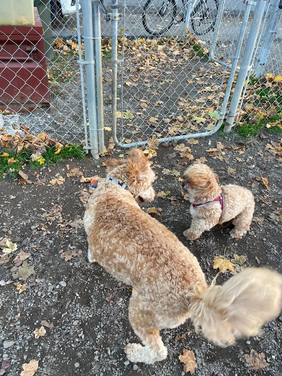 Greenwood Lake Bark Park