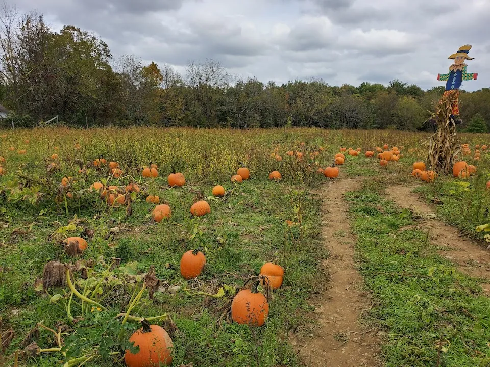 Manza Farm and Garden Center, Inc.