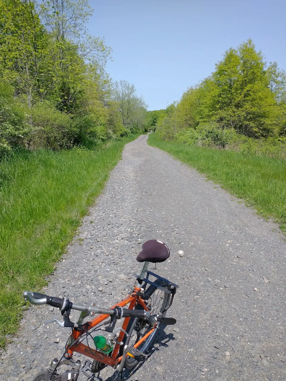 Stewart State Forest