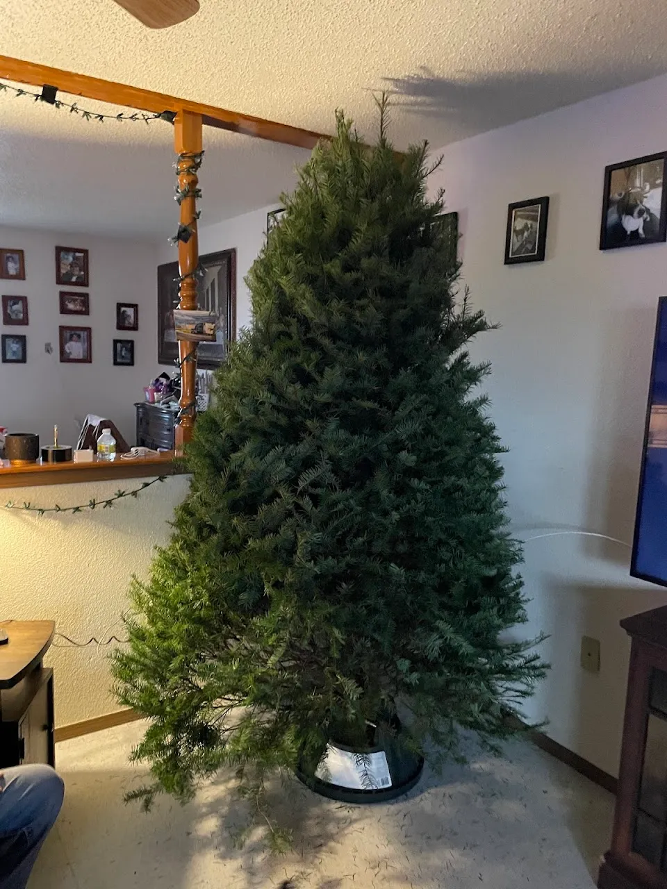 Wilkinson Christmas Farm