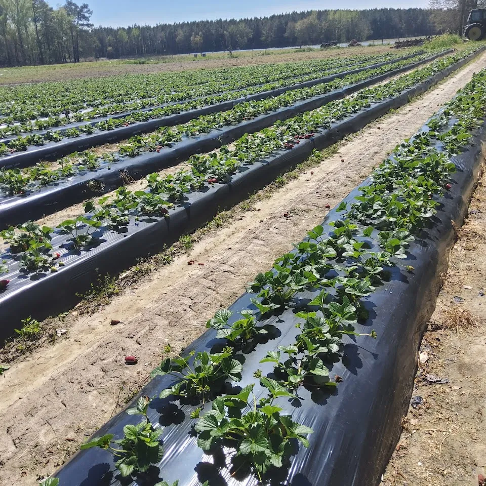 Richburg Farms