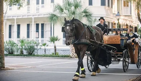Carriage Tours of Savannah