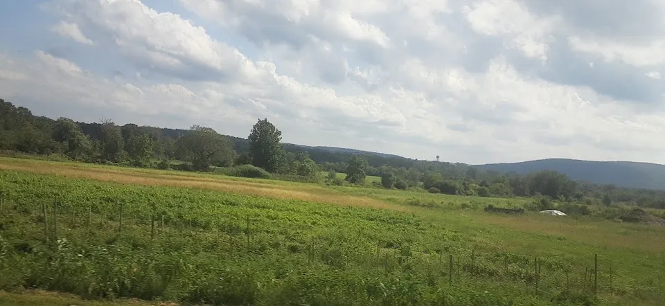 Pine Hill Farm