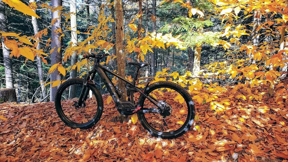 Moody Trails