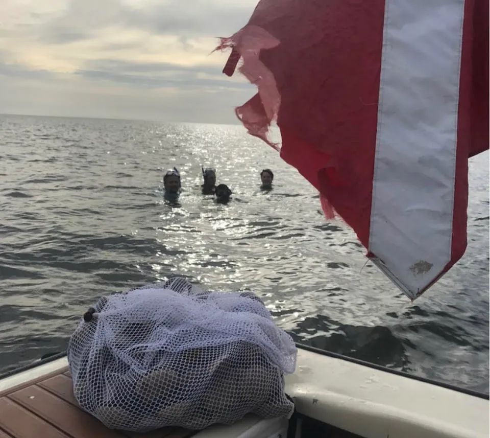 Scallop Charters & More