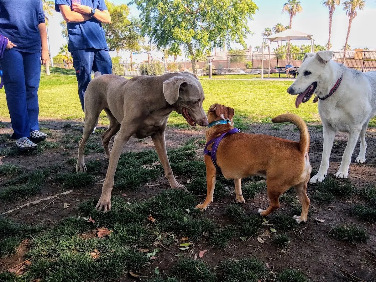 Pioneer Dog Park